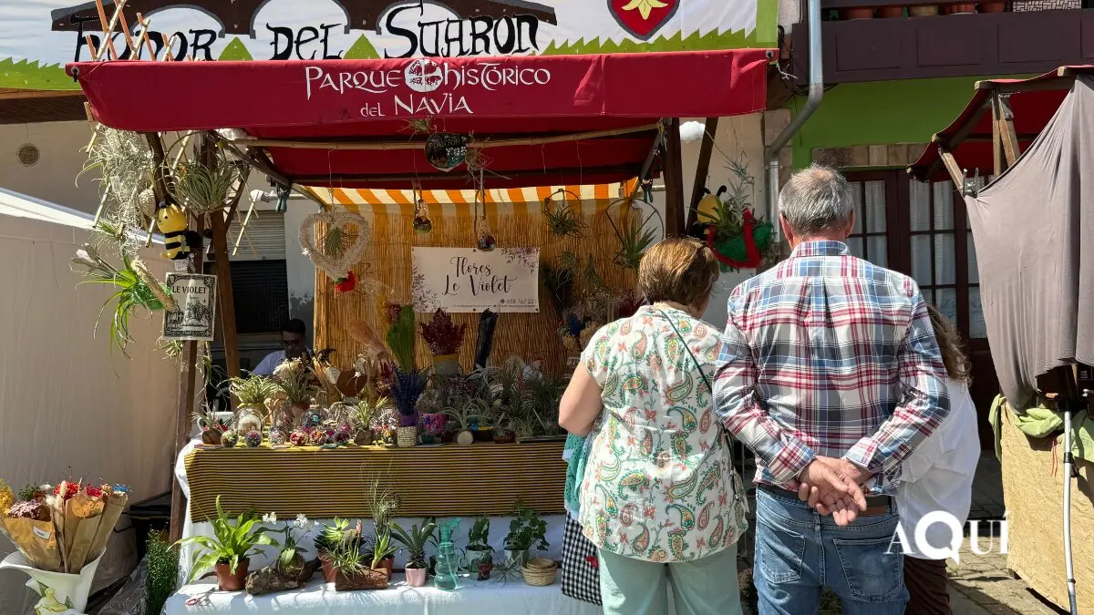 Mercado Piant&oacute;n (6)