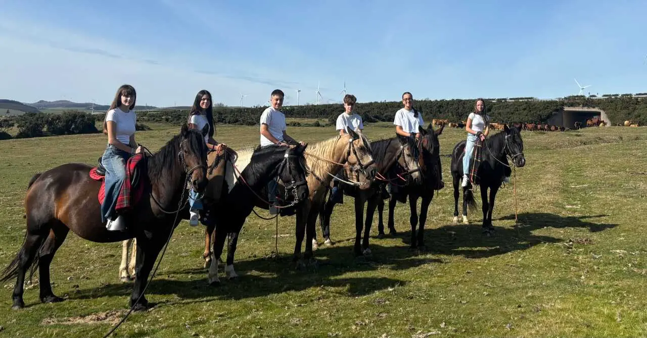 san luquieors