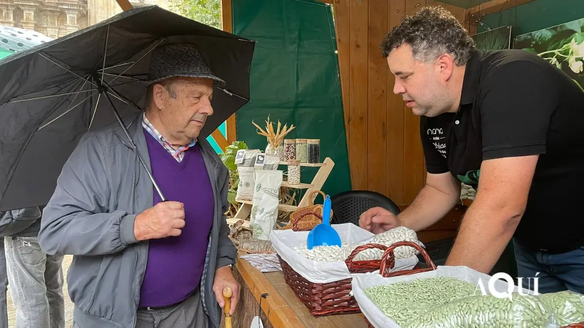A Faba de Lourenz&aacute;