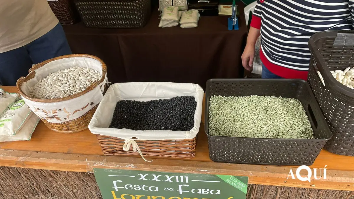 A Faba de Lourenz&aacute;