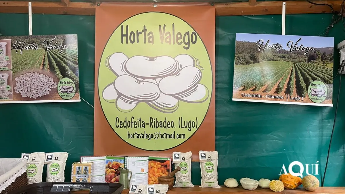 A Faba de Lourenz&aacute;