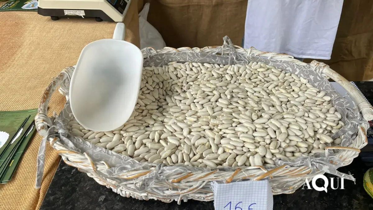 A Faba de Lourenz&aacute;
