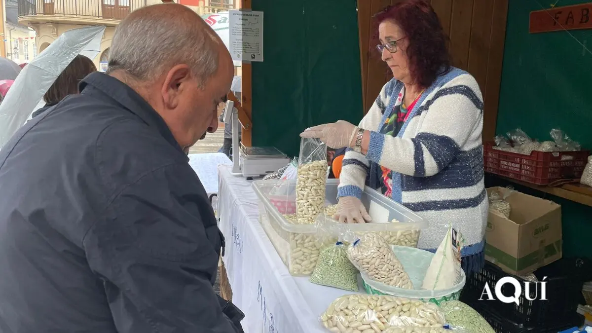 A Faba de Lourenz&aacute;