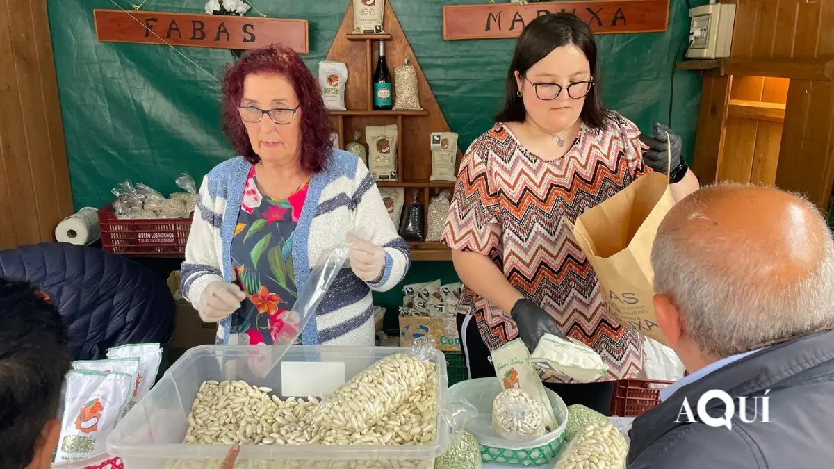 A Faba de Lourenz&aacute;
