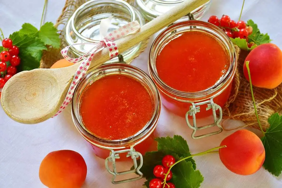 jam-2444752_1280