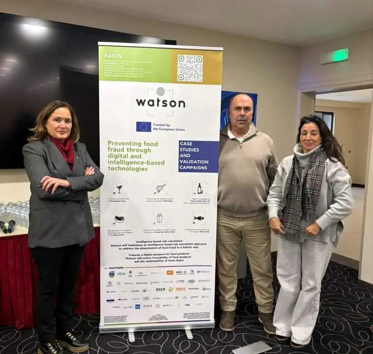 2025_11_27 presentacion conclusiones proyeto watson 2