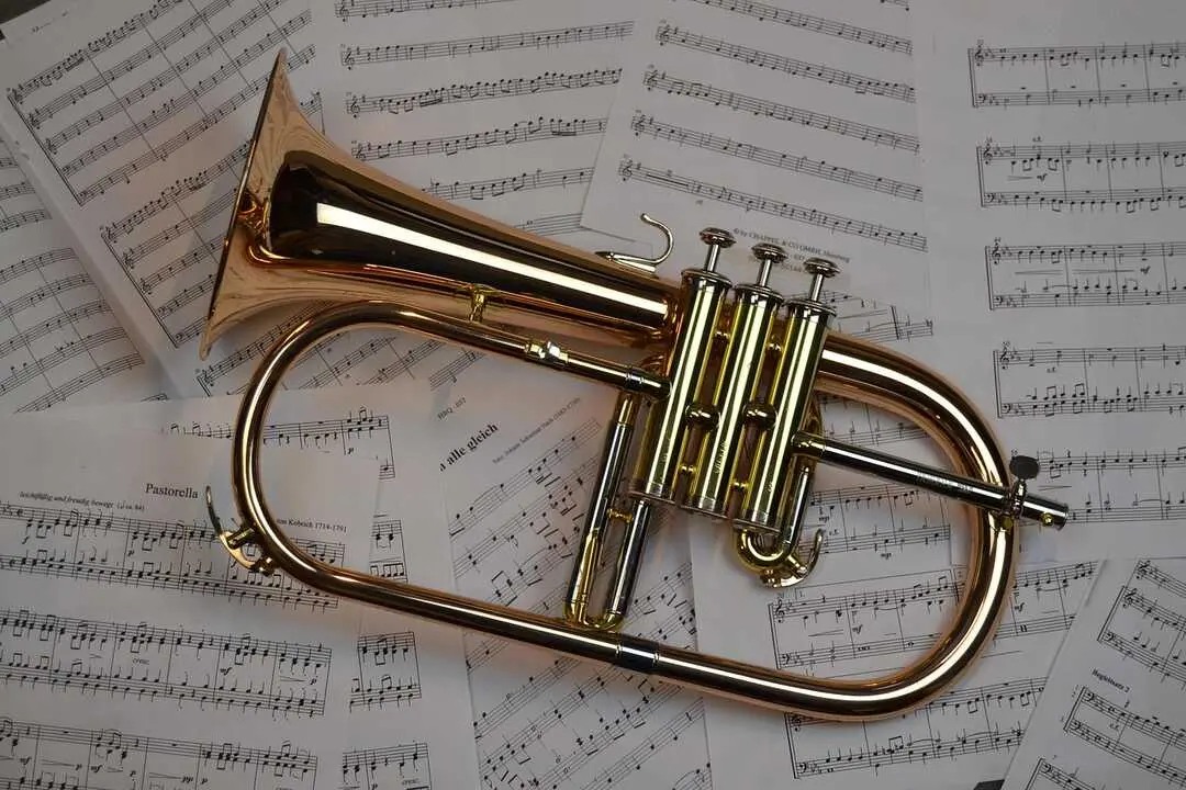 music-4987649_1280