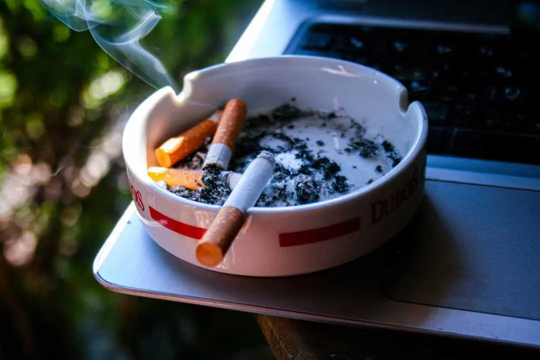 fumar cigarros humo tabaco