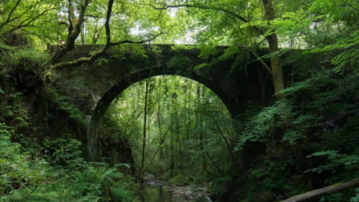 Imagen de Turismo Galicia. Fragas do Eume