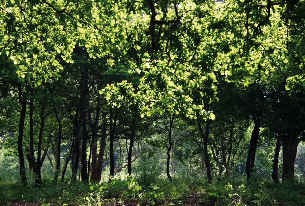 Imagen de Turismo Galicia