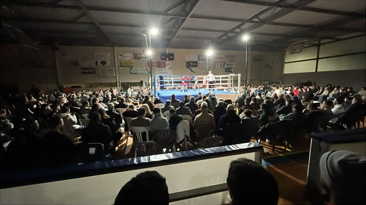 boxeo