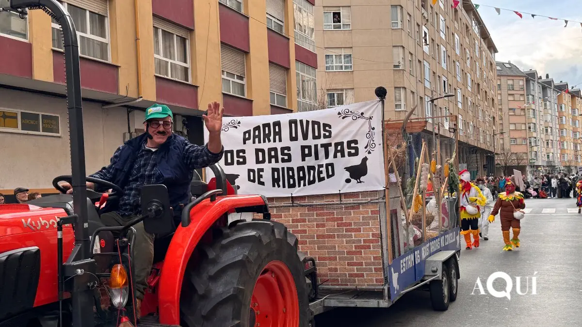 Desfile de Carnaval de Ribadeo (8)