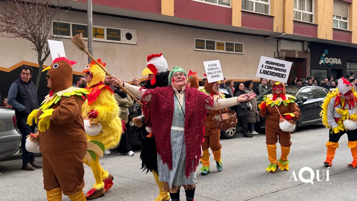 Desfile de Carnaval de Ribadeo (9)