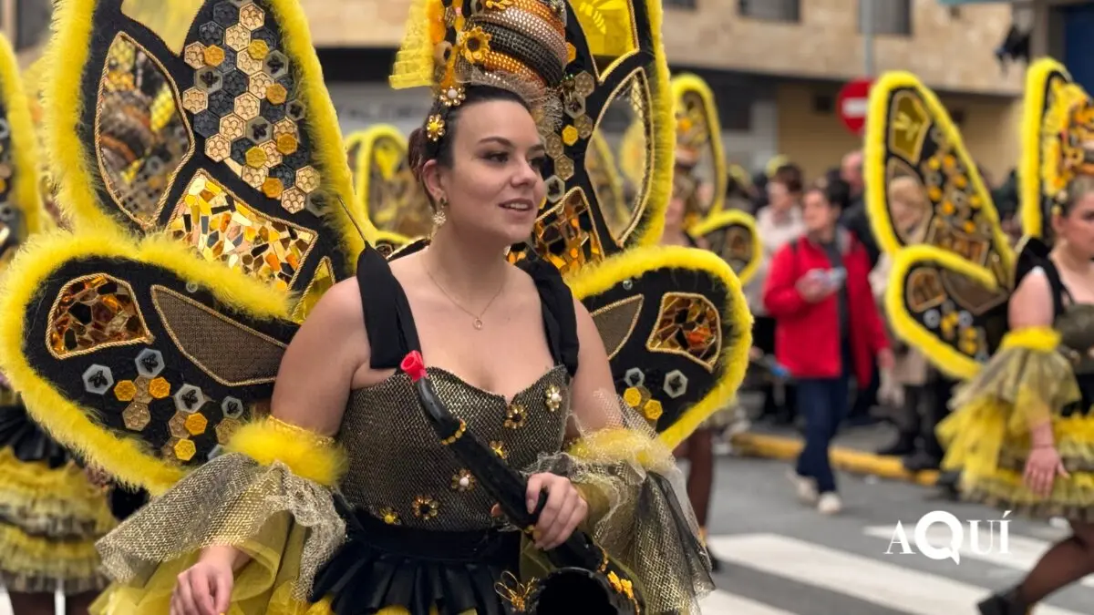 Desfile de Carnaval de Ribadeo (13)