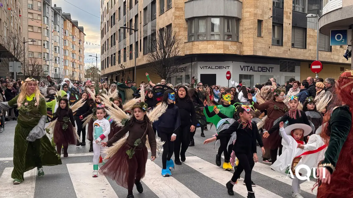 Desfile de Carnaval de Ribadeo (14)