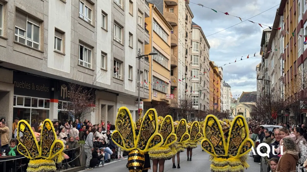 Desfile de Carnaval de Ribadeo (16)