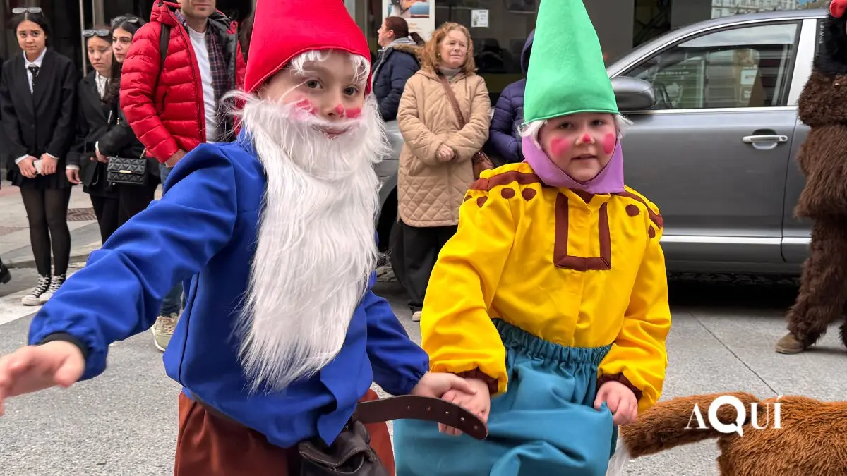 Desfile de Carnaval de Ribadeo (21)