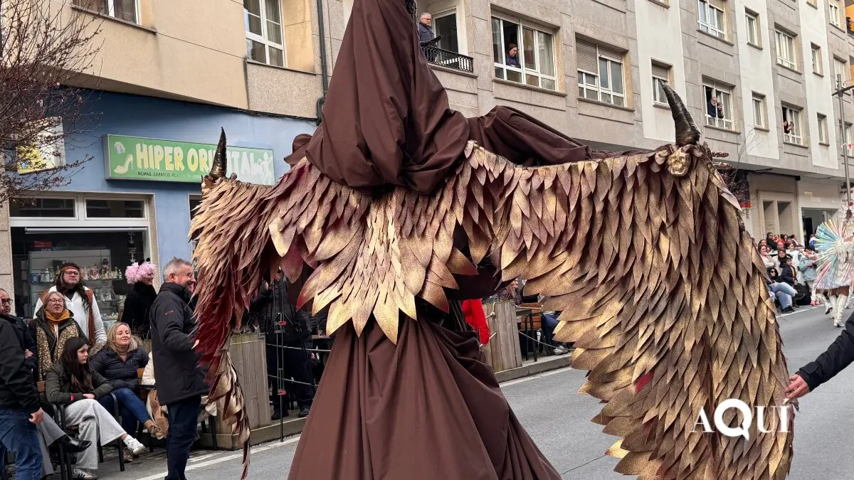 Desfile de Carnaval de Ribadeo (26)