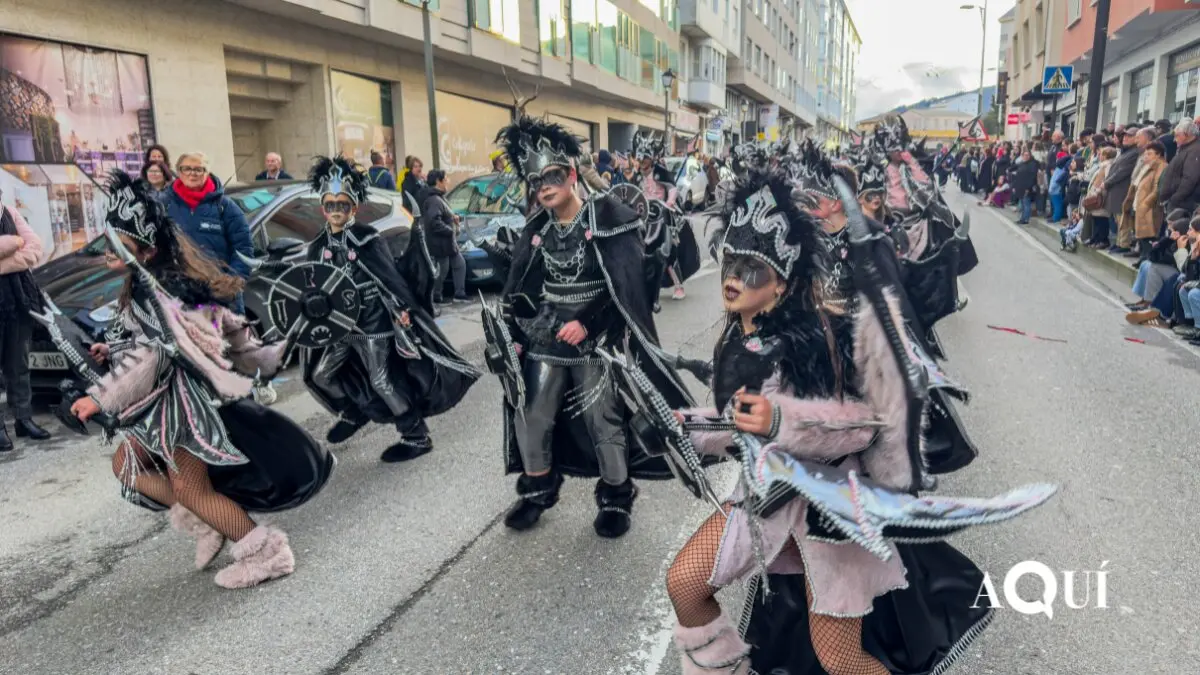 8Desfile entroido de Viveiro 2026