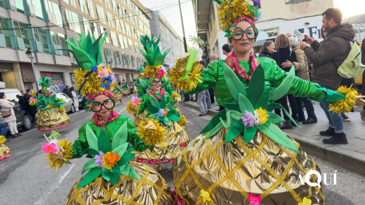 Desfile entroido de Viveiro 2026