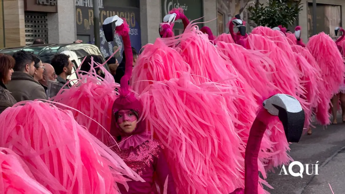 Desfile entroido de Viveiro 2026