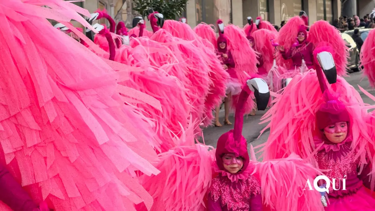 Desfile entroido de Viveiro 2026