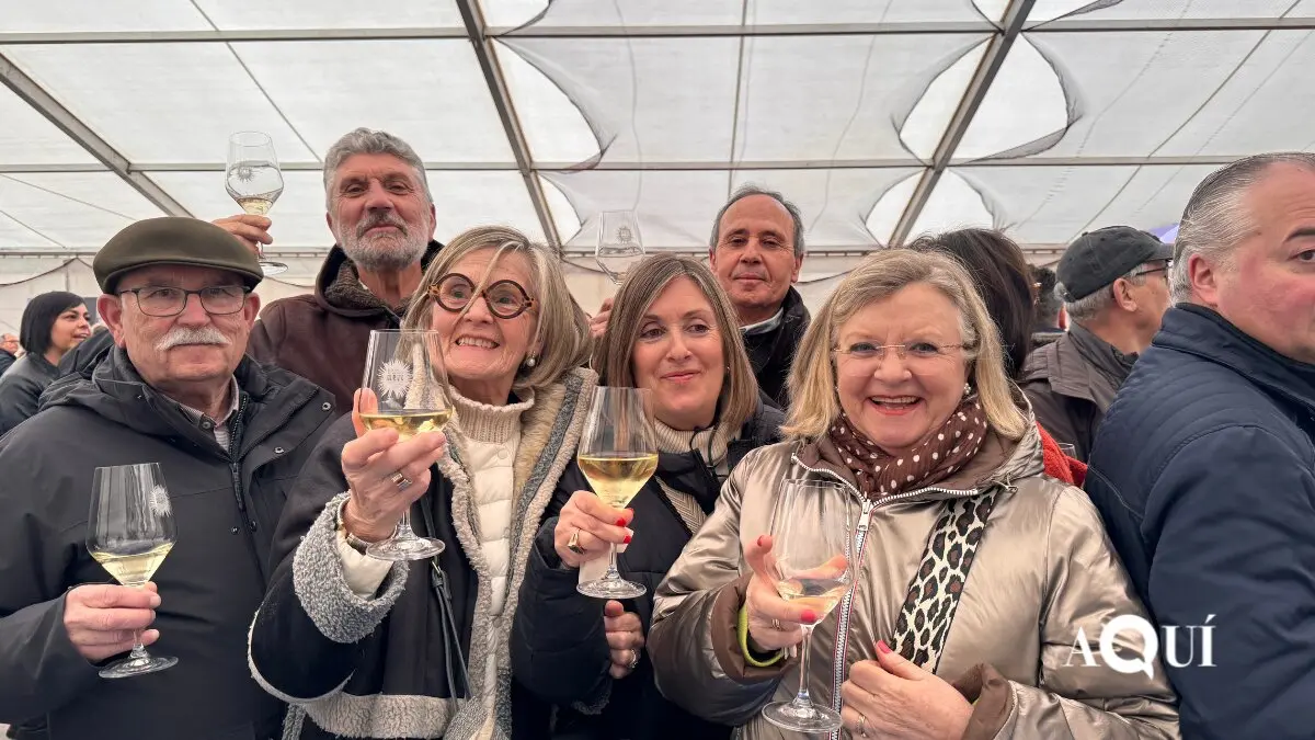 Festa do Ourizo San Cipri&aacute;n 2026