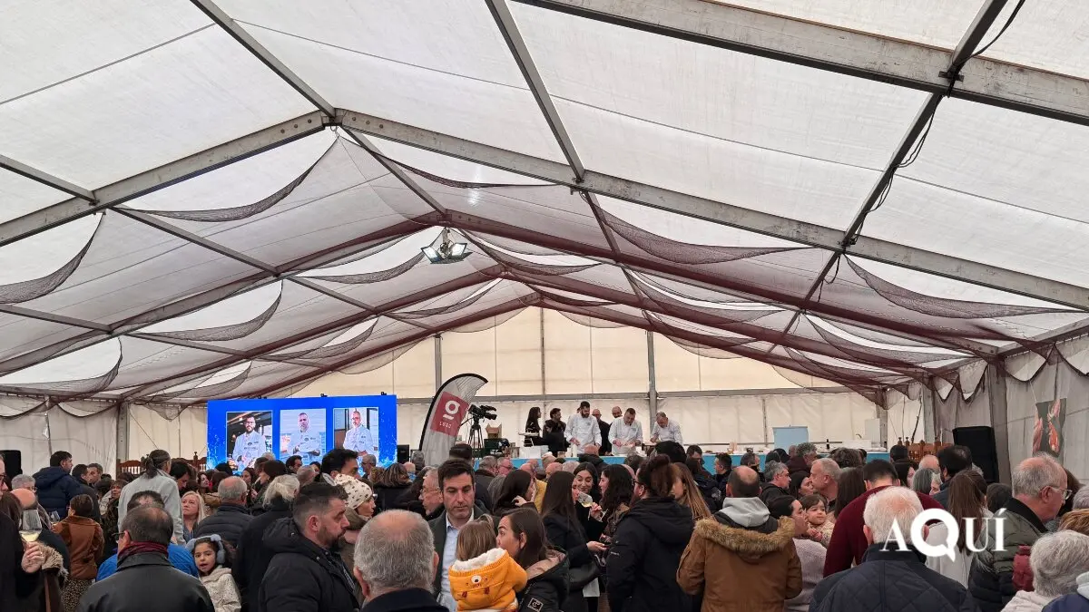 Festa do Ourizo San Cipri&aacute;n 2026