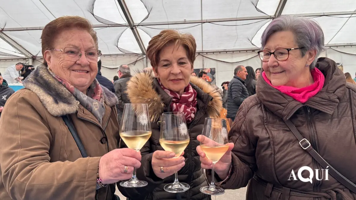 Festa do Ourizo San Cipri&aacute;n 2026