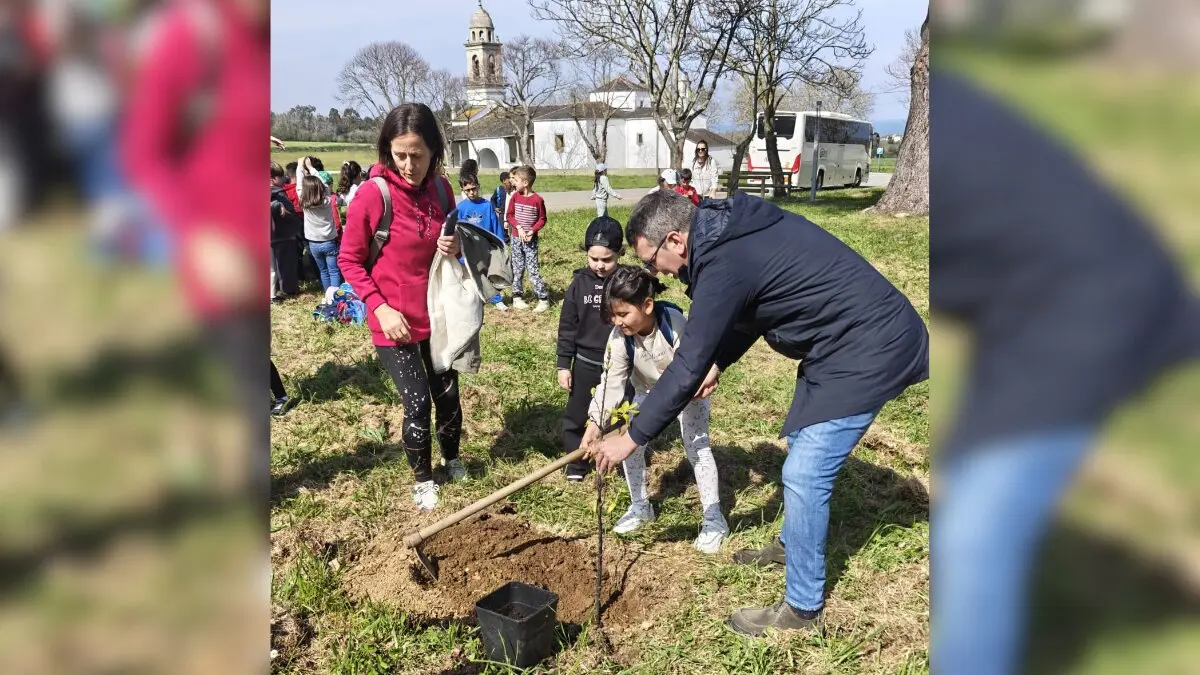 D&iacute;a del &Aacute;rbol Ribadeo