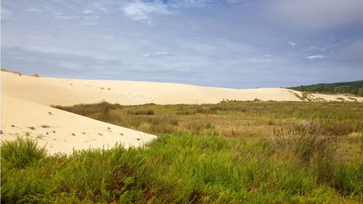 Parque Natural do Complexo Dunar de Corrubedo. Imagen de Turismo Galicia