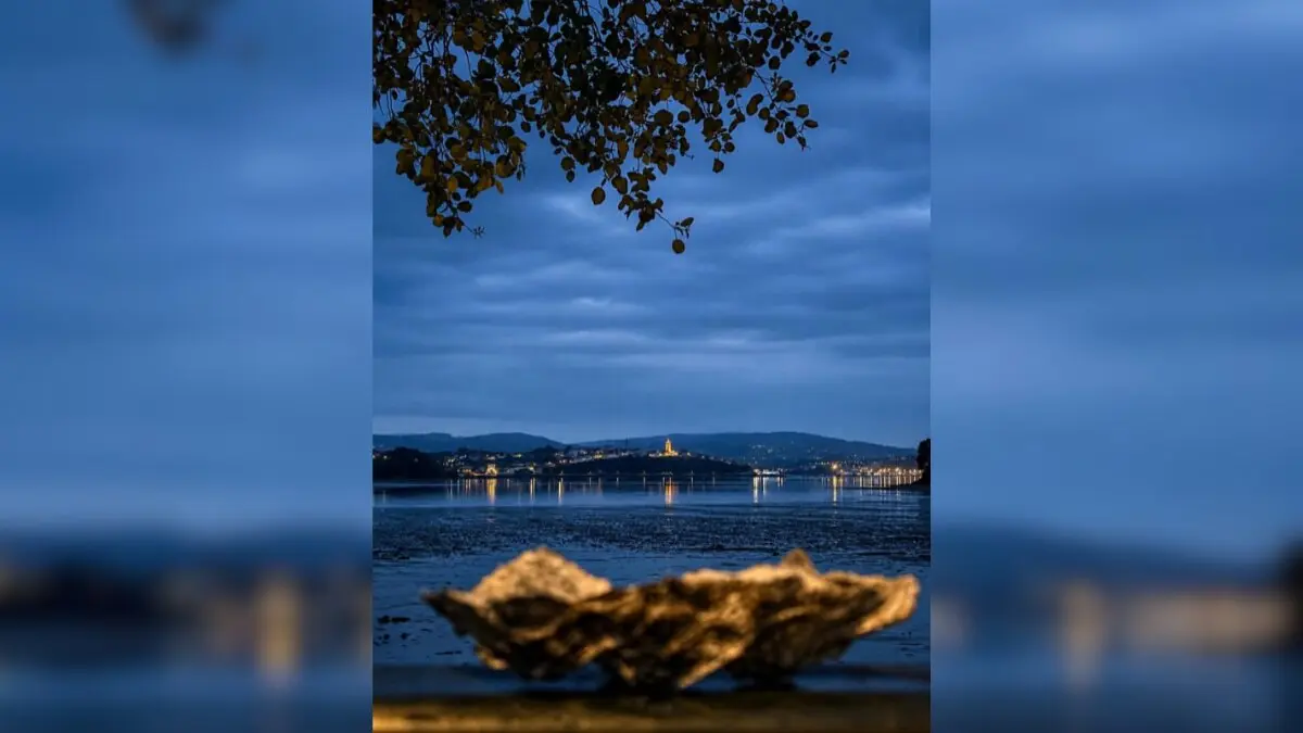 Imagen ganadora del concurso de Instagram del festival Somos la Ostra, celebrada en Castropol, en el que se reconocieron las mejores fotograf&iacute;as de esta duod&eacute;cima edici&oacute;n.
