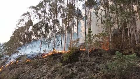 BNG Ribadeo incendios