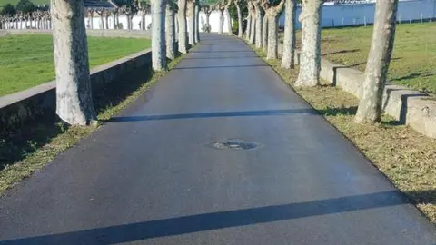 poda en ribadeo