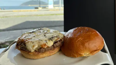 hamburguesa Galipizza