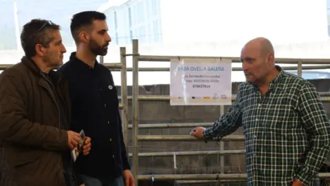 mes gandeiro o valadouro