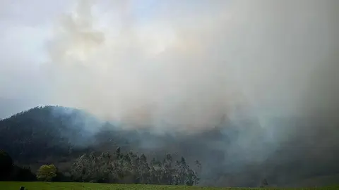 incendio febrero ribadeo trabada