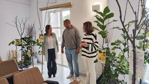 cervo entrega &aacute;rboles