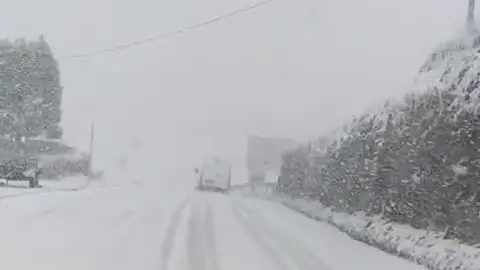 ralli nieve