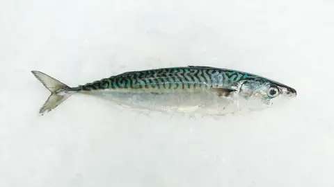 xornadas cabala acisa