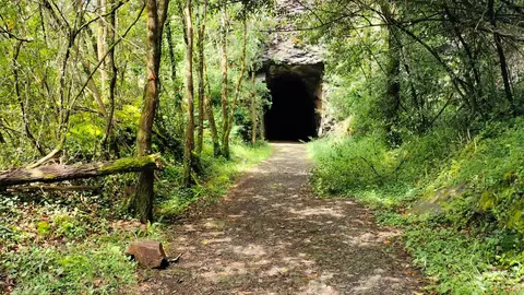 V&iacute;a Verde