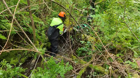 actuacion conservacion Viveiro