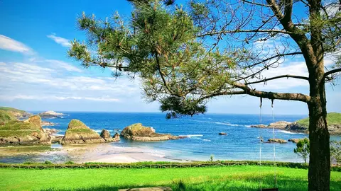 playa de porc&iacute;a