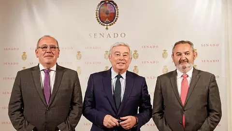 Senadores PP Lugo (1)