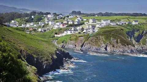 Ortiguera en Coa&ntilde;a