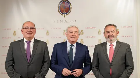 Juan Serrano, Jos&eacute; Manuel Barreiro y Jos&eacute; Manuel Balseiro, senadores del PP en Lugo