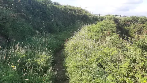 Senda costera de Navia en estado de abandono