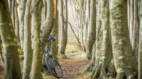 Ciclismo, mountain bike, btt