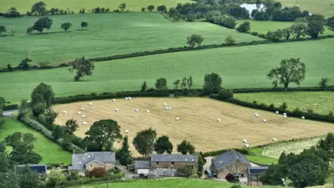 Medio Rural