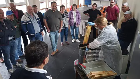 Curso Apicultura Barrreiros